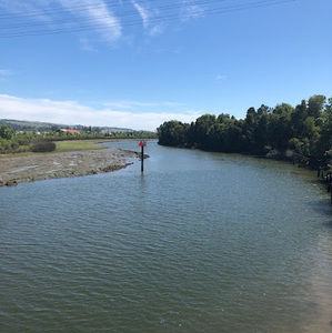 Meet your Posher, Huirong